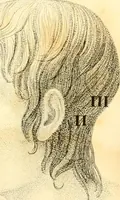 Picture 1 of 6 from Phrenology, or, The doctrine of the mental phenomena (1834), leaf 354