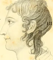 An illustration from Phrenology, or, The doctrine of the mental phenomena (1834)