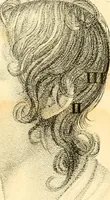 An illustration from Phrenology, or, The doctrine of the mental phenomena (1834)
