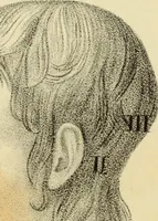 An illustration from Phrenology, or The doctrine of the mental phenomena (1832)