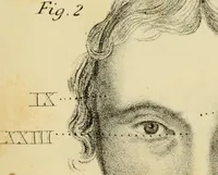 Picture 3 of 5 from Phrenology, or The doctrine of the mental phenomena (1832), leaf 388
