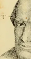 An illustration from Phrenology, or The doctrine of the mental phenomena (1832)