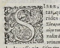 An illustration from Phutobasanos siue Plantarum aliquot historia : in qua describuntur diuersi generis plantae veriores, ac magis facie viribúsque respondentes antiquorum Theophrasti, Dioscoridis, Plinij, Galeni, aliorúmque delineationibus, ab alijs hucusque non animaduersæ. (1592)