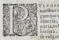 An illustration from Phutobasanos siue Plantarum aliquot historia : in qua describuntur diuersi generis plantae veriores, ac magis facie viribúsque respondentes antiquorum Theophrasti, Dioscoridis, Plinij, Galeni, aliorúmque delineationibus, ab alijs hucusque non animaduersæ. (1592)