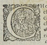 An illustration from Phutobasanos siue Plantarum aliquot historia : in qua describuntur diuersi generis plantae veriores, ac magis facie viribúsque respondentes antiquorum Theophrasti, Dioscoridis, Plinij, Galeni, aliorúmque delineationibus, ab alijs hucusque non animaduersæ. (1592)