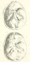 Picture 3 of 9 from The physical basis of mental life. A popular essay (1873), leaf 16