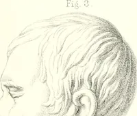An illustration from The physical basis of mental life. A popular essay (1873)