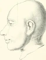 An illustration from The physical basis of mental life. A popular essay (1873)