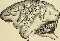 An illustration from Physical expression : its modes and principles (1885)