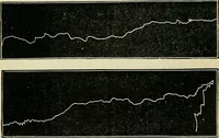 Picture 12 of 48 from Physical expression : its modes and principles (1885), leaf 139
