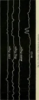 Picture 14 of 48 from Physical expression : its modes and principles (1885), leaf 155