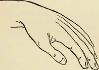 Picture 21 of 48 from Physical expression : its modes and principles (1885), leaf 186