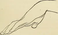 An illustration from Physical expression : its modes and principles (1885)