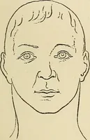 An illustration from Physical expression : its modes and principles (1885)