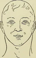 An illustration from Physical expression : its modes and principles (1885)