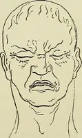An illustration from Physical expression : its modes and principles (1885)