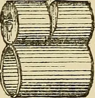 Picture 43 of 48 from Physical expression : its modes and principles (1885), leaf 378