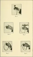 An illustration from The physical phenomena of spiritualism, fraudulent and genuine : being a brief account of the most important historical phenomena, a criticism of their evidential value, and a complete exposition of the methods employed in fraudulently reproducing the same (1907)