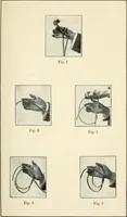 An illustration from The physical phenomena of spiritualism, fraudulent and genuine; being a brief account of the most important historical phenomena; a criticism of their evidential value, and a complete exposition of the methods employed in fraudulently reproducing the same (1908)