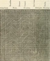 An illustration from Physico-physiological researches on the dynamics of magnetism, electricity, heat, light, crystallization, and chemism, in their relations to vital force (1851)