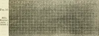 An illustration from Physico-physiological researches on the dynamics of magnetism, electricity, heat, light, crystallization, and chemism, in their relations to vital force (1851)