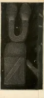 Picture 12 of 24 from Physico-physiological researches on the dynamics of magnetism, electricity, heat, light, crystallization, and chemism, in their relations to vital force (1851), leaf 261