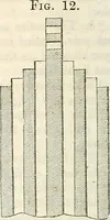 An illustration from Physico-physiological researches on the dynamics of magnetism, electricity, heat, light, crystallization, and chemism, in their relations to vital force (1851)