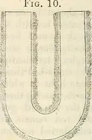 An illustration from Physico-physiological researches on the dynamics of magnetism, electricity, heat, light, crystallization, and chemism, in their relations to vital force (1851)