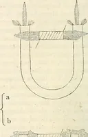 An illustration from Physico-physiological researches on the dynamics of magnetism, electricity, heat, light, crystallization, and chemism, in their relations to vital force (1851)