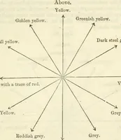 Picture 20 of 24 from Physico-physiological researches on the dynamics of magnetism, electricity, heat, light, crystallization, and chemism, in their relations to vital force (1851), leaf 418