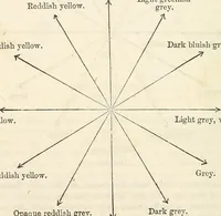 An illustration from Physico-physiological researches on the dynamics of magnetism, electricity, heat, light, crystallization, and chemism, in their relations to vital force (1851)