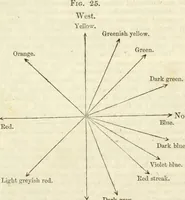 Picture 22 of 24 from Physico-physiological researches on the dynamics of magnetism, electricity, heat, light, crystallization, and chemism, in their relations to vital force (1851), leaf 420