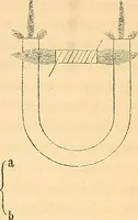 An illustration from Physico-physiological researches on the dynamics of magnetism, electricity, heat, light, crystallization, and chemism, in their relations to vital force (1851)