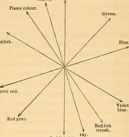 Picture 16 of 22 from Physico-physiological researches on the dynamics of magnetism, electricity, heat, light, crystallization, and chemism, in their relations to vital force (1851), leaf 573