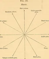 Picture 19 of 22 from Physico-physiological researches on the dynamics of magnetism, electricity, heat, light, crystallization, and chemism, in their relations to vital force (1851), leaf 580