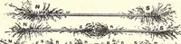 An illustration from Physics of the household (1914)
