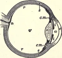 An illustration from Physics of the household (1914)
