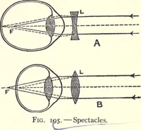 An illustration from Physics of the household (1914)