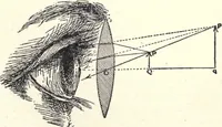 An illustration from Physics of the household (1914)