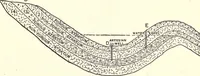 An illustration from Physics of the household (1914)