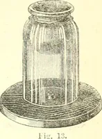 An illustration from Physics (1884)