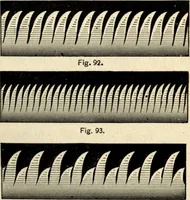 Picture 39 of 77 from Physics for university students (1896), leaf 220