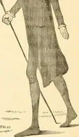 An illustration from Physiognomy illustrated ; or, Nature's revelations of character : a description of the mental, moral, and volitive dispositions of mankind, as manifested in the human form and countenance (1891)