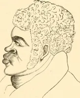 An illustration from Physiognomy illustrated ; or, Nature's revelations of character : a description of the mental, moral, and volitive dispositions of mankind, as manifested in the human form and countenance (1891)