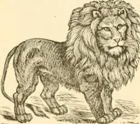 An illustration from Physiognomy illustrated ; or, Nature's revelations of character : a description of the mental, moral, and volitive dispositions of mankind, as manifested in the human form and countenance (1891)