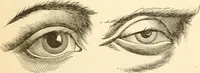 An illustration from Physiognomy illustrated ; or, Nature's revelations of character : a description of the mental, moral, and volitive dispositions of mankind, as manifested in the human form and countenance (1891)
