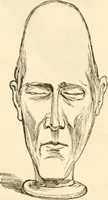 An illustration from Physiognomy illustrated ; or, Nature's revelations of character : a description of the mental, moral, and volitive dispositions of mankind, as manifested in the human form and countenance (1891)