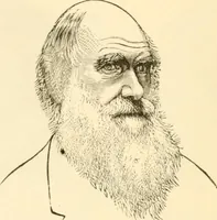 An illustration from Physiognomy illustrated ; or, Nature's revelations of character : a description of the mental, moral, and volitive dispositions of mankind, as manifested in the human form and countenance (1891)