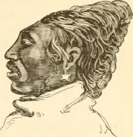 An illustration from Physiognomy illustrated ; or, Nature's revelations of character : a description of the mental, moral, and volitive dispositions of mankind, as manifested in the human form and countenance (1891)