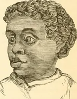 An illustration from Physiognomy illustrated ; or, Nature's revelations of character : a description of the mental, moral, and volitive dispositions of mankind, as manifested in the human form and countenance (1891)